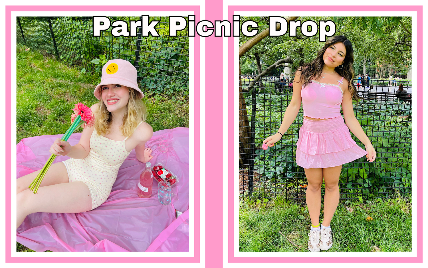 Park Picnic Drop